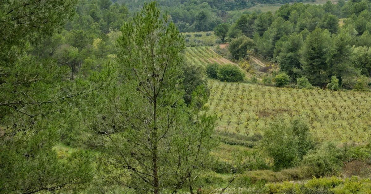 Douro with Children: Tips for a Memorable Family Trip