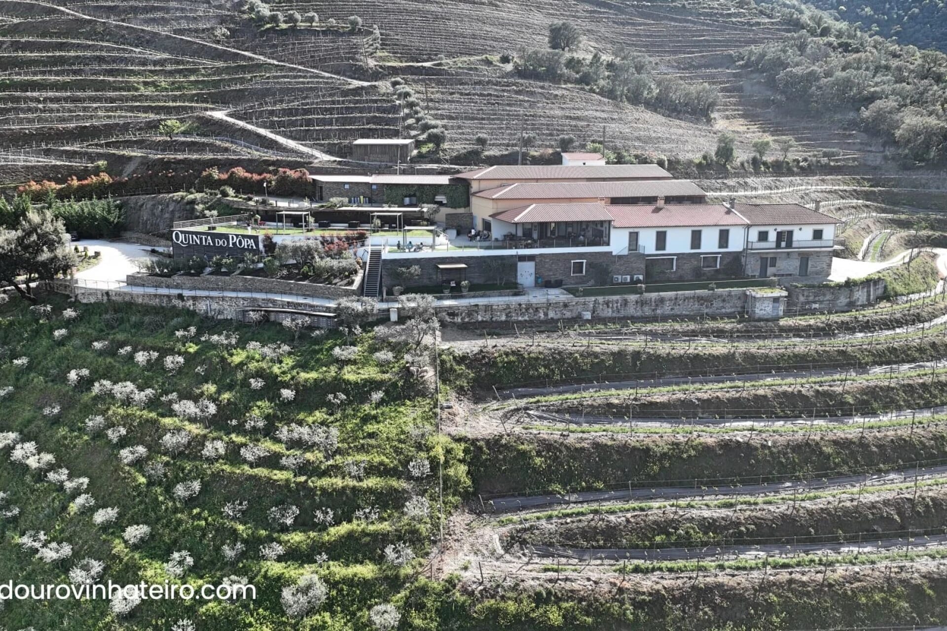 Quinta do Pôpa: Vinhos de Qualidade Superior do Vale do Douro
