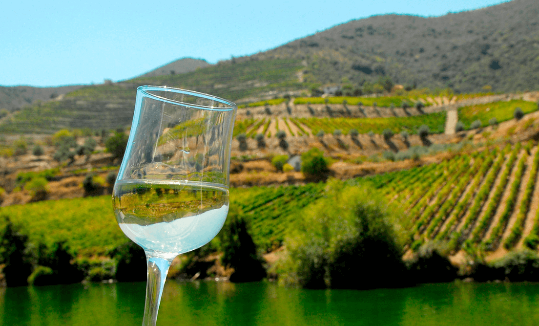 5. Influência dos Vinhos do Douro