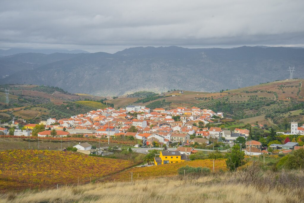Museu do Vinho em São João da Pesqueira: Conheça a História e Tradições Vinícolas da Região