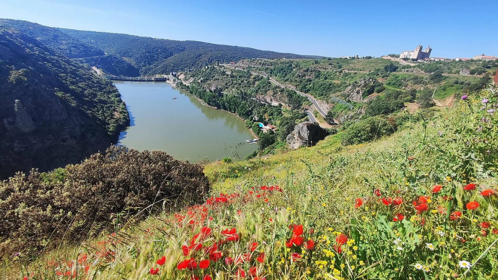 Douro encaixado entre encostas, visto do Miradouro do Penedo Amarelo, em Miranda do Douro