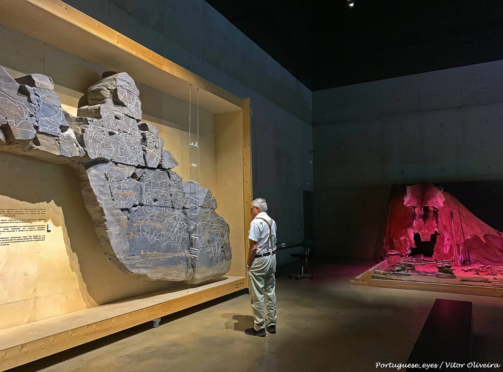 Sala de exposição do Museu do Côa com um painel de rocha gravada numa vitrine