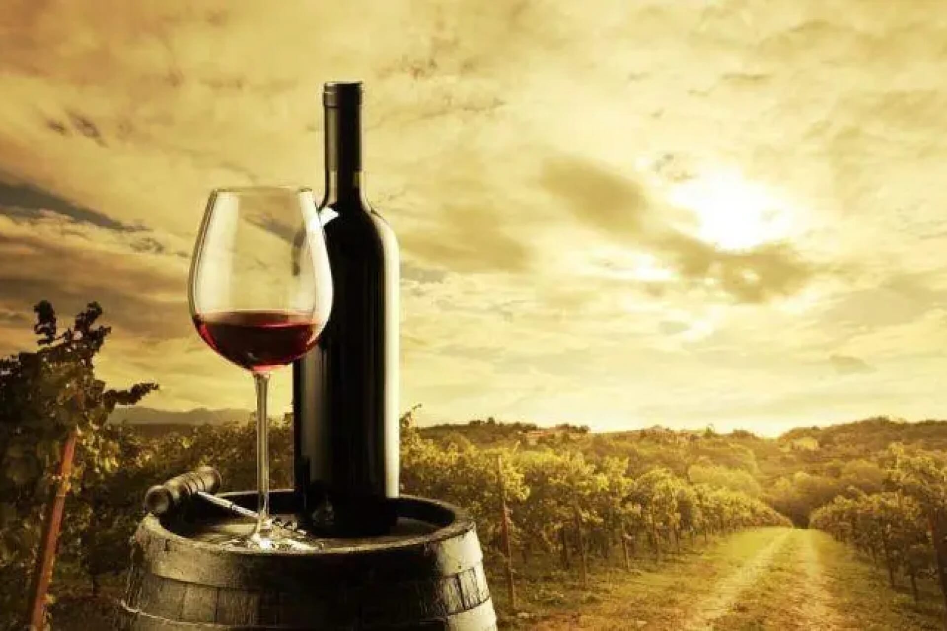 10º Festival do Vinho do Douro Superior: Descubra os melhores vinhos da região